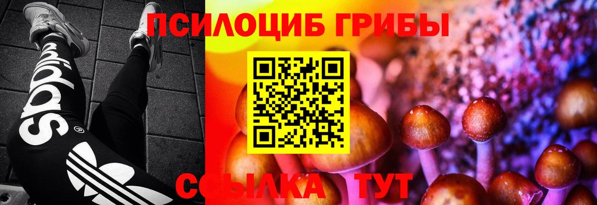 Галлюциногенные грибы MAGIC MUSHROOMS  Вход с VPN  Елизово 
